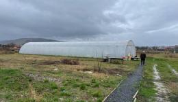 In this greenhouse, various vegetables such as spinach, onions and lettuce are grown.