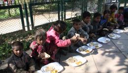 Ein warmes Essen mit Chapatis