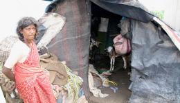 Frau aus einem Slum, die alleine mit drei Ziegen in ihrer Hütte wohnt. Wir gaben ihr unser unser Kleingeld: 78 Rupien. Vor Glück hatte sie Tränen in den Augen.