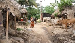 Die deutlich unter der Armutsgrenze lebenden Einwohner der vier Dörfer Virbhadra Pur, Sahu Saib, Kusum Pur und Barpal Diya sollen mittels einer Rohrleitung (Pipeline) mit dem nahegelegenen Fluss verbunden werden.