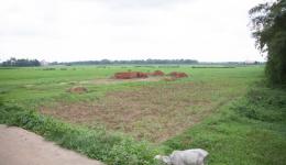 Blick auf die Felder, die ohne Wasserleitungen zum Fluss überwiegend brach liegen müssen. Nur jetzt in der Monsunzeit sind sie für kurze Zeit saftig grün.