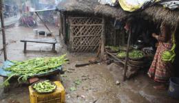 Neben dem Händler, bei dem Reis, Dal und Speiseöl besorgt werden, befindet sich ein Gemüsegeschäft.