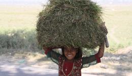 In regelmäßigen Abständen kommen Kinder eines benachbarten Dorfes mit Heuballen vorbei und beobachten neugierig die Bauarbeiten.
