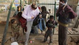 Die "Tür" ist mehr auf die Größe der Bewohner ausgelegt...