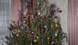 Der Weihnachtsbaum im Wohnzimmer.