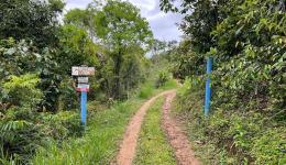 Im Atlantischen Regenwald im Staat Bahia, Ort: Nilo Peçanha bauten Bianca und Cabolinha u.a. eine kleine Firma für Manjoka- Farmer im Regenwald auf.
Seither können die Bauern ihre Ernte selbst behalten und auf dem Markt verkaufen.
Die Straßen zur Manjoka-Farm sind mühsam befahrbar, vor allem in der Regenzeit…