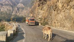 The return journey begins. From Kalimath via Rishikesh to Delhi.